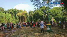 Hingga Siang Ini, Ragunan...