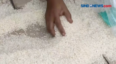Beras Bantuan Tak Layak...