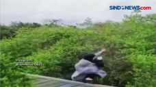 Viral, Ingin Berpose...