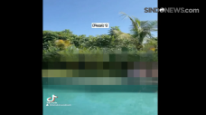 Heboh, Video Pesta Sex...