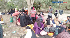 81 Warga Rohingnya Myanmar...