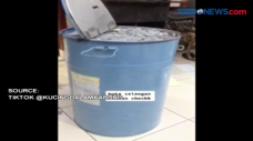 Keluarga Bongkar Celengan,...