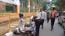 Kepanikan Pengemudi...