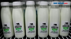 Rasakan Kesegaran Susu...