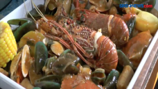 Lezatnya Lobster Saus...