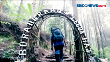 Wisata Puncak Burangrang,...
