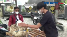 Menabung Setahun, Siswa...