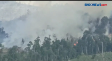 Lahan di Kawasan Hutan...