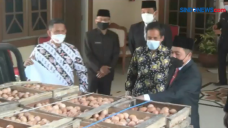 Peternak Ayam Sumbang...