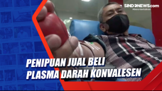 Penipuan Jual Beli Plasma...