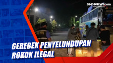 Gerebek Penyelundupan...