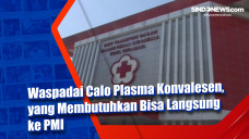Waspadai Calo Plasma...