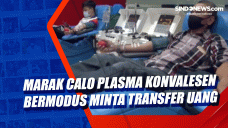 Marak Calo Plasma Konvalesen...