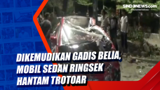 Dikemudikan Gadis Belia,...