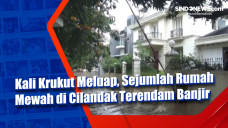Kali Krukut Meluap,...