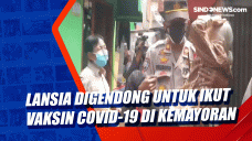 Lansia Digendong untuk...