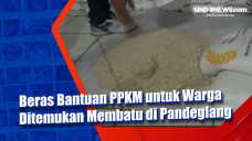Beras Bantuan PPKM untuk...