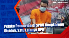 Pelaku Pencurian di...