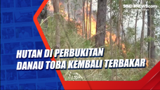 Hutan di Perbukitan...