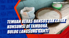 Temuan Beras Bansos...