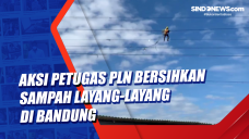 Aksi Petugas PLN Bersihkan...