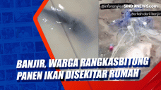 Banjir, Warga Rangkasbitung...