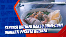 Sensasi Kuliner Bakso...