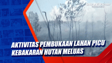 Aktivitas Pembukaan...