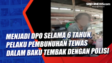 Menjadi DPO Selama 6...