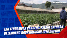 Tak Terdampak Pandemi,...