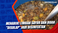 Menarik! Limbah Sayur...