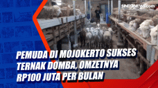 Pemuda di Mojokerto...