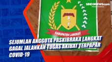 Sejumlah Anggota Paskibraka...