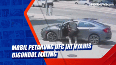 Mobil Petarung UFC ini...