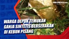 Warga Depok Temukan...