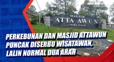 Perkebunan dan Masjid...