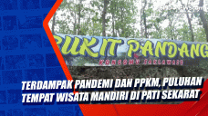 Terdampak Pandemi dan...