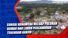 Sungai Konaweha Meluap,...