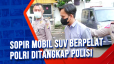 Sopir Mobil SUV Berpelat...