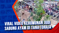 Viral Video Kerumunan...