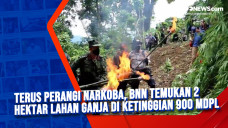 Terus Perangi Narkoba,...