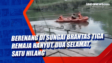 Berenang di Sungai Brantas...