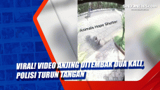 Viral! Video Anjing...