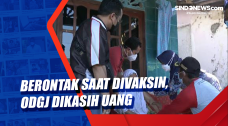 Berontak saat Divaksin,...