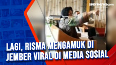 Lagi, Risma Mengamuk...