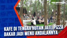 Kafe di Tengah Hutan...