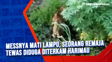Messnya Mati Lampu,...