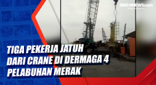 Tiga Pekerja Jatuh dari...