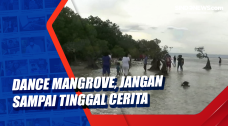 Dance Mangrove, Jangan...