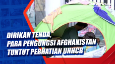 Dirikan Tenda, Para...